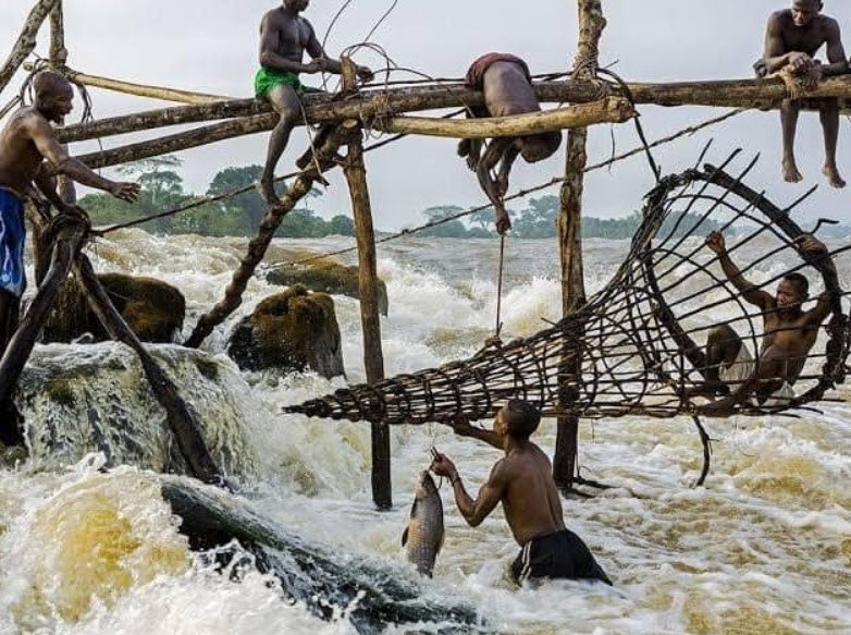 Falls of Wagenia, Kisangani, Tshopo Province, DR Congo